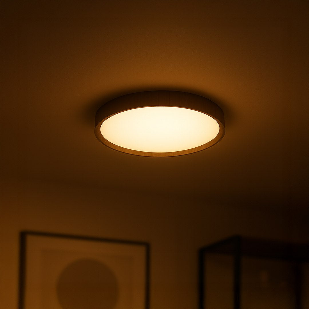 Плафониера FOREST 24W LED, ML2054, 305196